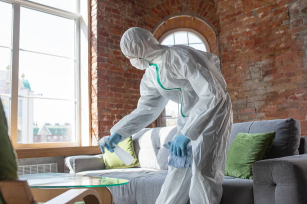 Why You Should Choose Our Mold Remediation Services in Vassar, MI